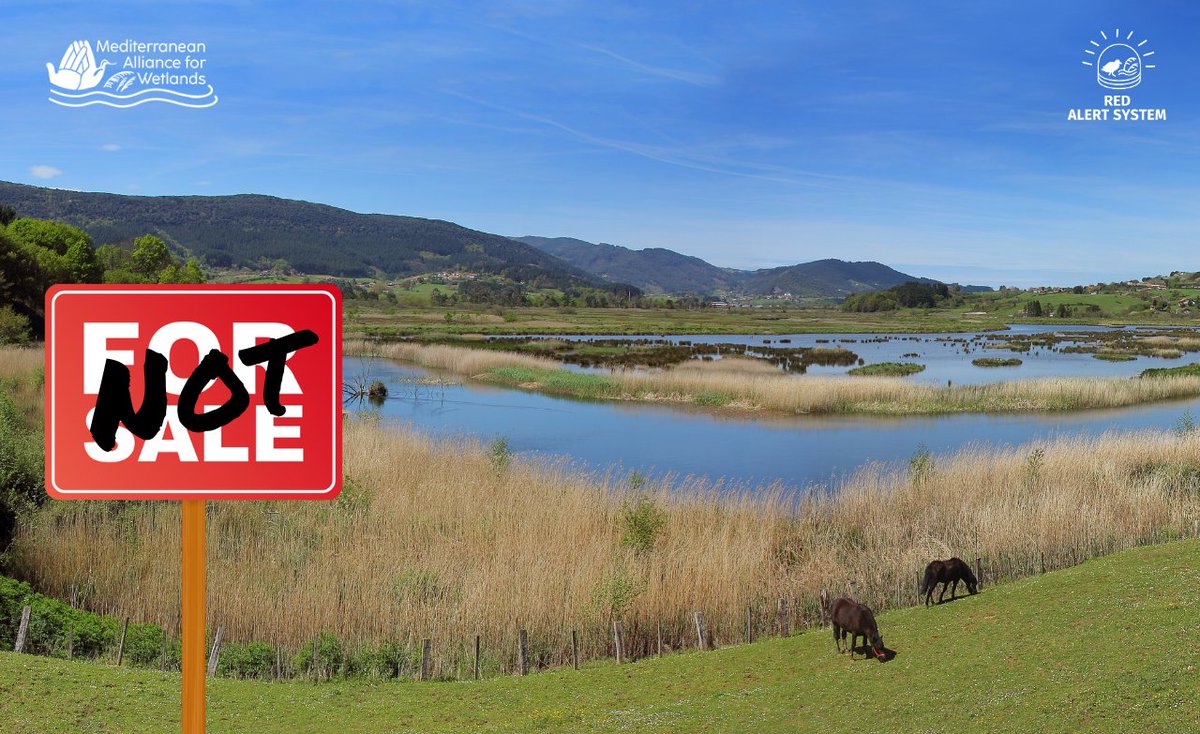 ❌Urdaibai no está en venta

La inversión cultural no debe ir en detrimento de los humedales protegidos

Urdaibai no necesita transformarse para tener valor.
Necesita ser respetado, preservado y mantenido vivo para las generaciones futuras.

#SaveUrdaibai #StopGuggenheimExpansion