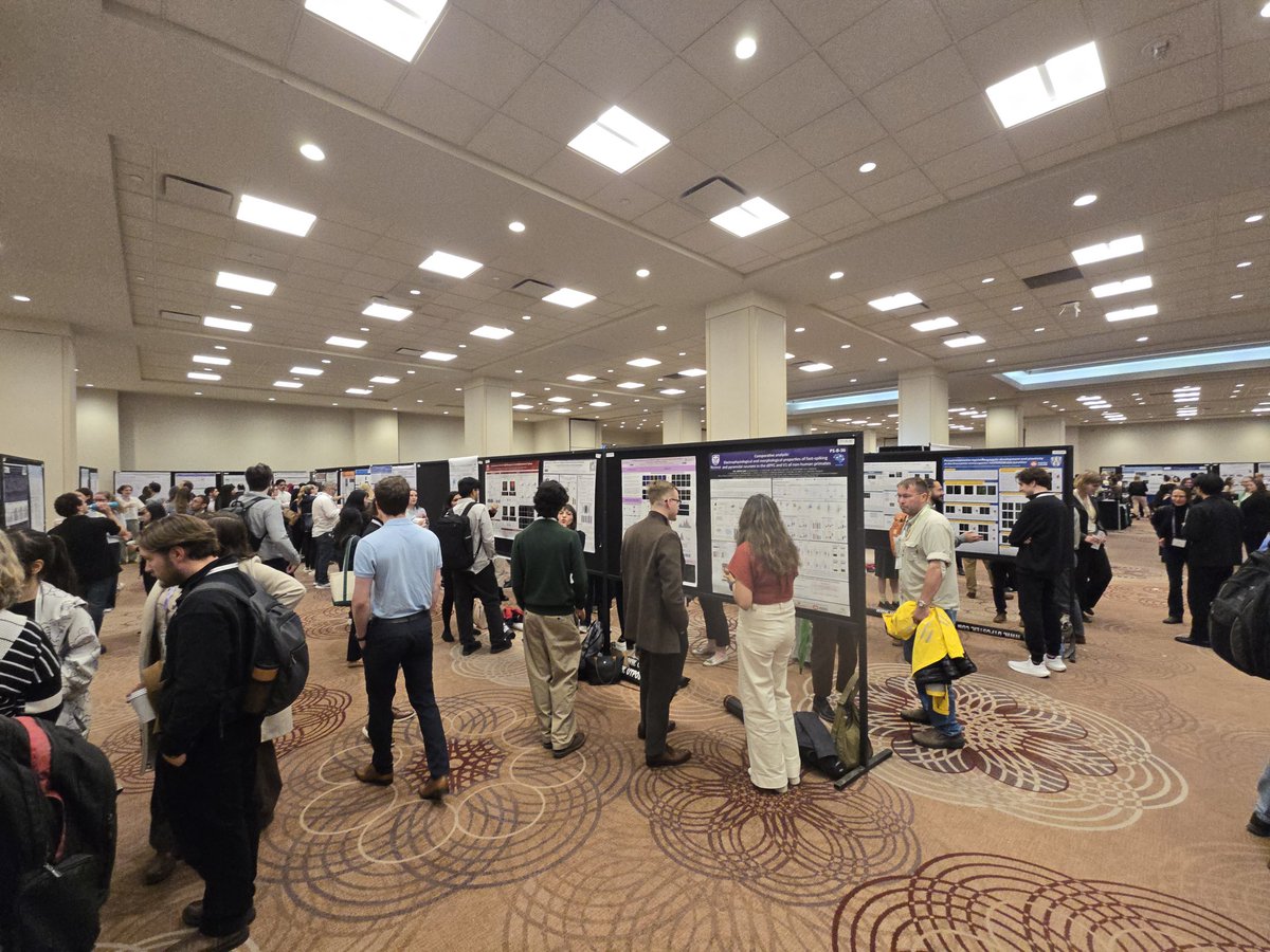 bozhi_wu's tweet photo. Amazing talks by Dr. Cembrowski and Dr. Abott! I must say, everytime I listen to a fly talk, I am just amazed by how much we know about the different structures and types of neurons in the fly brain for navigation. So much details, and the 'design' makes sense. #CAN2025 #CAN_ACN https://t.co/Ra9KdSVzIo