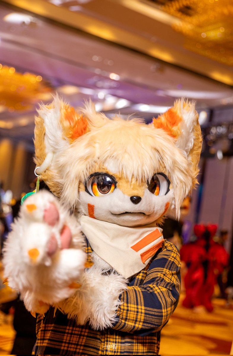 -我犯了什么罪？
-你击中了我的心。
🐶：金茂  
📸：沐晟  #FursuitFriday