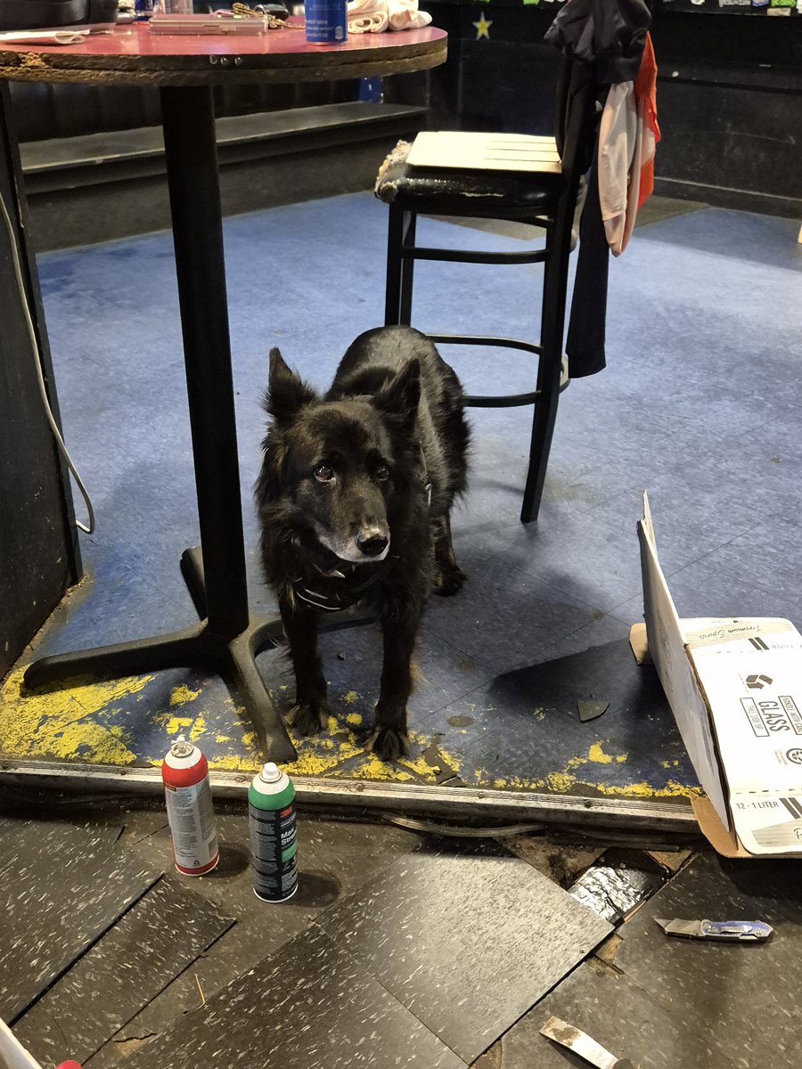 Thank you, USA, Seattle🇺🇸💙
2025. 05. 22 (Thu)
El Corazon

#롤링쿼츠 #RollingQuartz #다이아뎀 #Diadem #미국투어 #USACanadaTour2025 #북아메리카 #NorthAmerica #미국 #UnitedStatesofAmerica #USA #시애틀 #Seattle #최현정 #ChoiHyunJung #Guitarist