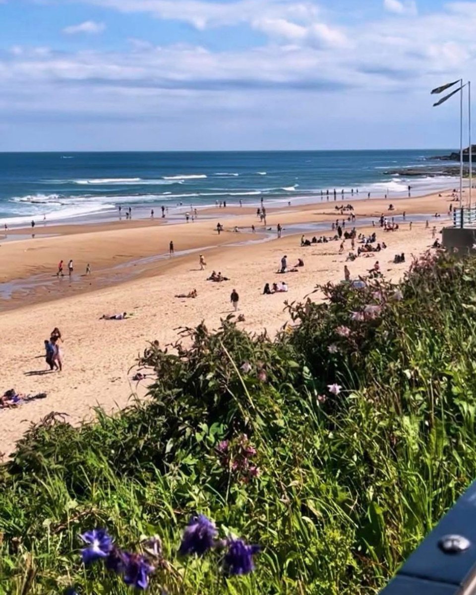 Yay! Blue Flags will again be flying over Whitley Bay beach after being awarded a prestigious Blue Flag Award again this year. An honour Whitley Bay has been awarded every year since 1994 🌊