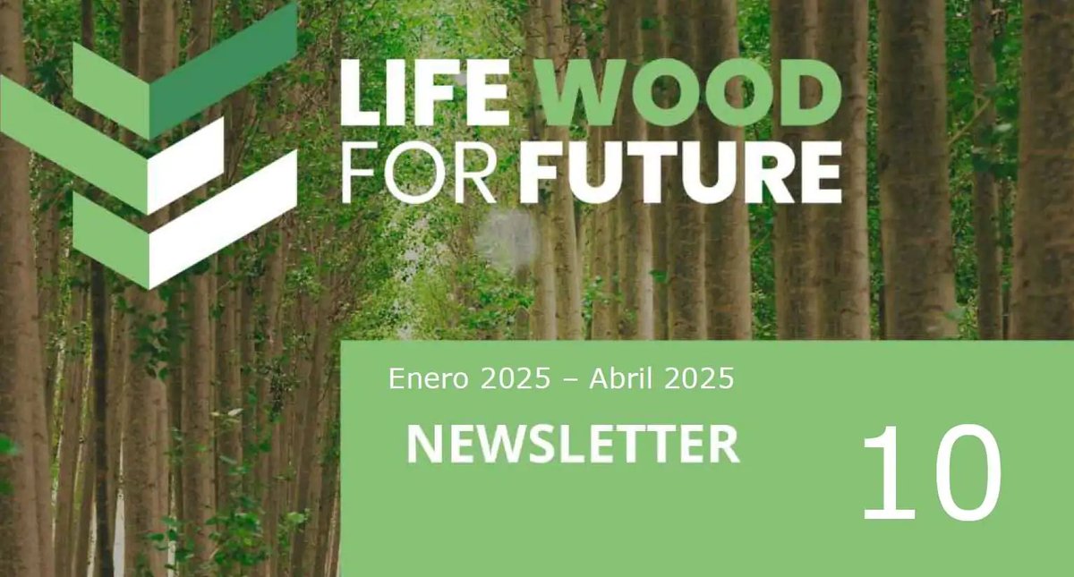 woodforfuture's tweet image. 📰 ¡Ya disponible la 10ª edición de la newsletter de @woodforfuture!
📅 Recoge las principales novedades del proyecto de enero a abril de 2025.
🌳 Ciencia, construcción con madera y sostenibilidad. ¡No te lo pierdas!
🔗 life-woodforfuture.eu/publicacion-de…
#LIFEProgramme #LIFEproject