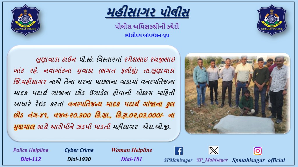 SP Mahisagar (@sp_mahisagar) on Twitter photo લુણાવાડા ટાઉન પો.સ્ટે. વિસ્તારમાં નવાખાંટના મુવાડા ગામે ઘરના પાછળના વાડામાંથી વનસ્પતિજન્ય માદક પદાર્થ લીલા ગાંજાના છોડ છોડ નંગ-૪૧, વજન-૨૦.૩૦૦ કિ.ગ્રા., કિ.રૂા.૦૨,૦૩,૦૦૦/- ના મુદ્દામાલ સાથે આરોપીને ઝડપી પાડતી મહીસાગર એસ.ઓ.જી. <a href="/CMOGuj/">CMO Gujarat</a>
<a href="/dgpgujarat/">DGP Gujarat</a>
<a href="/GujaratPolice/">Gujarat Police</a>
<a href="/Harsh_Office/">Harsh Sanghavi Office</a> લુણાવાડા ટાઉન પો.સ્ટે. વિસ્તારમાં નવાખાંટના મુવાડા ગામે ઘરના પાછળના વાડામાંથી વનસ્પતિજન્ય માદક પદાર્થ લીલા ગાંજાના છોડ છોડ નંગ-૪૧, વજન-૨૦.૩૦૦ કિ.ગ્રા., કિ.રૂા.૦૨,૦૩,૦૦૦/- ના મુદ્દામાલ સાથે આરોપીને ઝડપી પાડતી મહીસાગર એસ.ઓ.જી. <a href="/CMOGuj/">CMO Gujarat</a>
<a href="/dgpgujarat/">DGP Gujarat</a>
<a href="/GujaratPolice/">Gujarat Police</a>
<a href="/Harsh_Office/">Harsh Sanghavi Office</a>