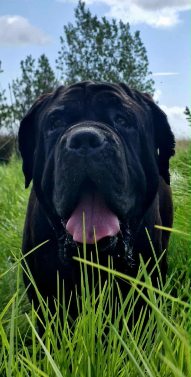 FUBAR nz tweet media