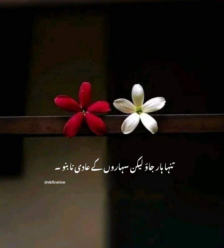 kausar_nargis's tweet image. Tanha haar jao,,, lekin saharoN ke aadi na bano.

#Header_updated