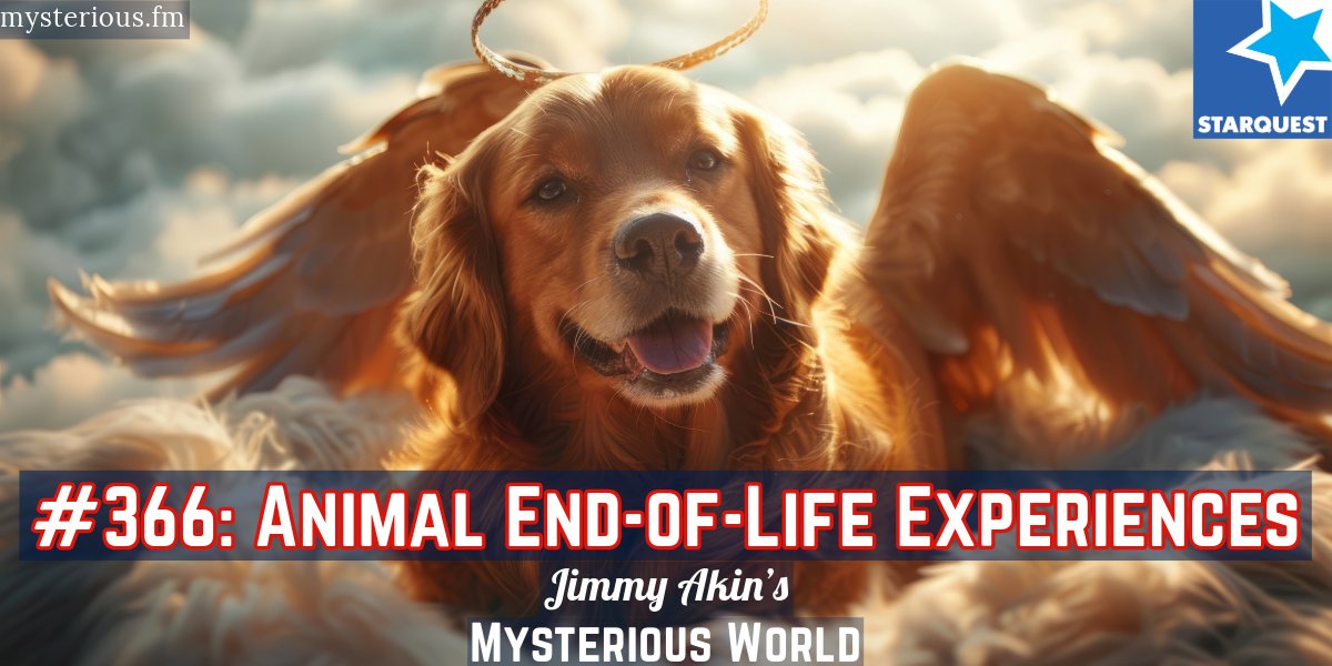 StarQuest Media (SQPN) (@sqpn) on Twitter photo Scientists have only just begun studying whether animals have End-of-Life Experiences. <a href="/JimmyAkin3000/">Jimmy Akin</a> and <a href="/bettnet/">Domenico Bettinelli</a> discuss whether they do, what kinds of experiences they have, and how they compare to human experiences. mysterious.fm/366 Scientists have only just begun studying whether animals have End-of-Life Experiences. <a href="/JimmyAkin3000/">Jimmy Akin</a> and <a href="/bettnet/">Domenico Bettinelli</a> discuss whether they do, what kinds of experiences they have, and how they compare to human experiences. mysterious.fm/366