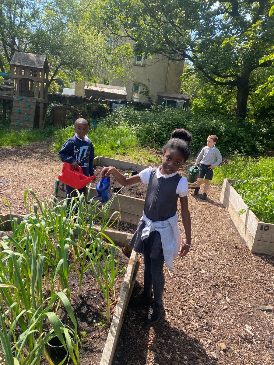 St.Ninians RCPS (@stniniansrcps) on Twitter photo 