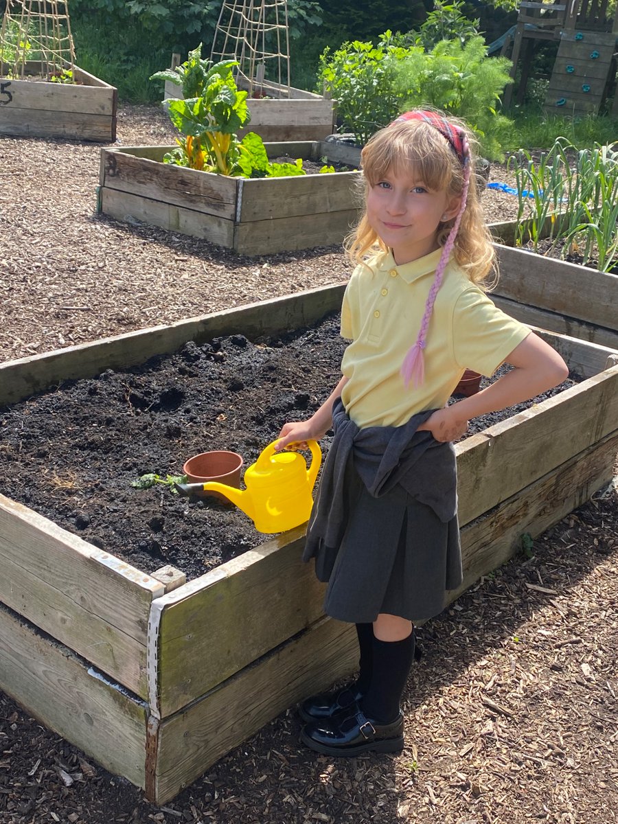 St.Ninians RCPS tweet media