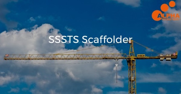 Get in touch! SSSTS Scaffolder, £22.00 per hour 💸. tinyurl.com/ywlbrcnz