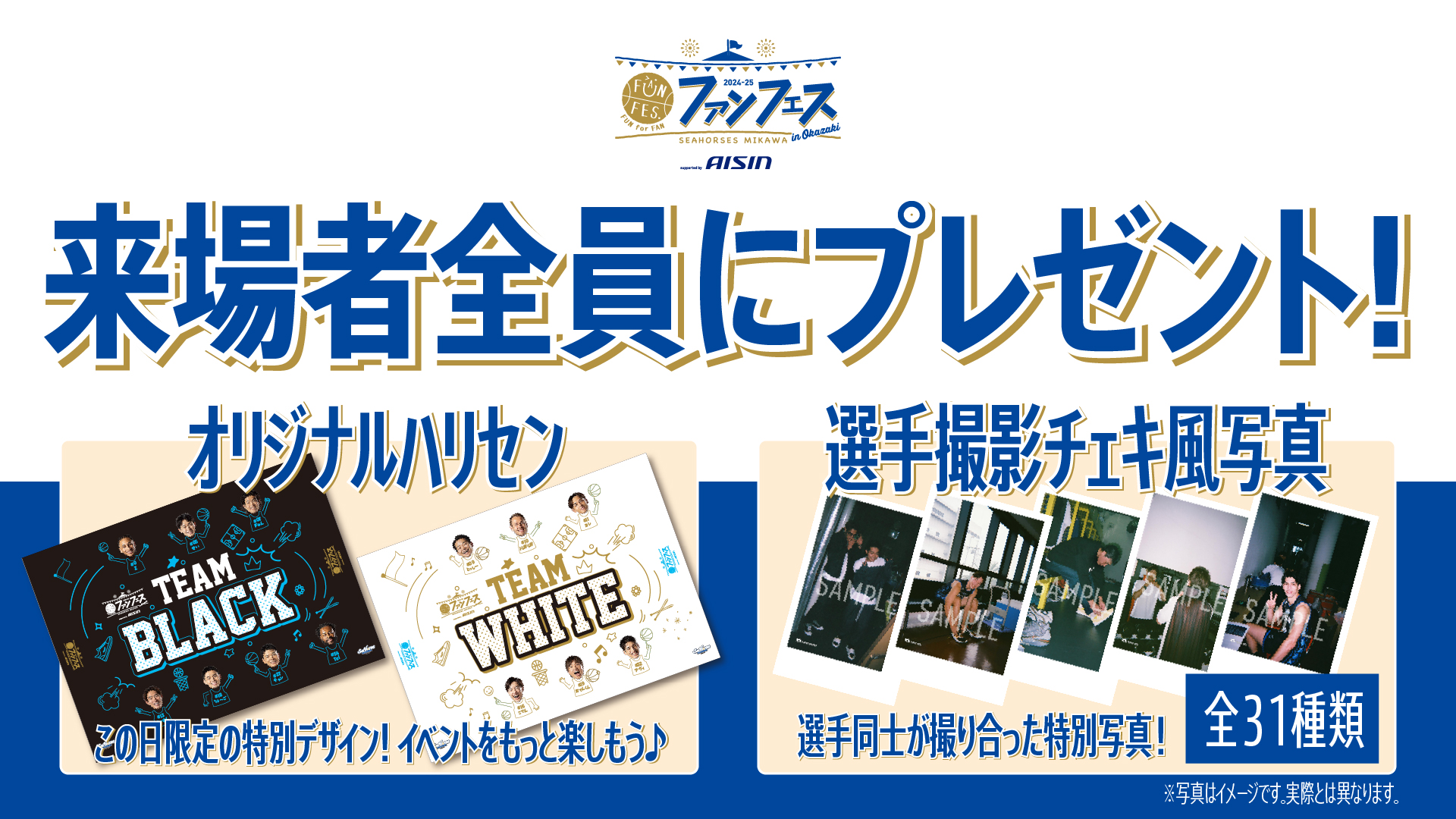 2024FF14韓国ファンフェス限定　14番目の星座　毛布 2024 팬페스티벌 : 파이널판타지14 (FINAL FANTASY XIV)