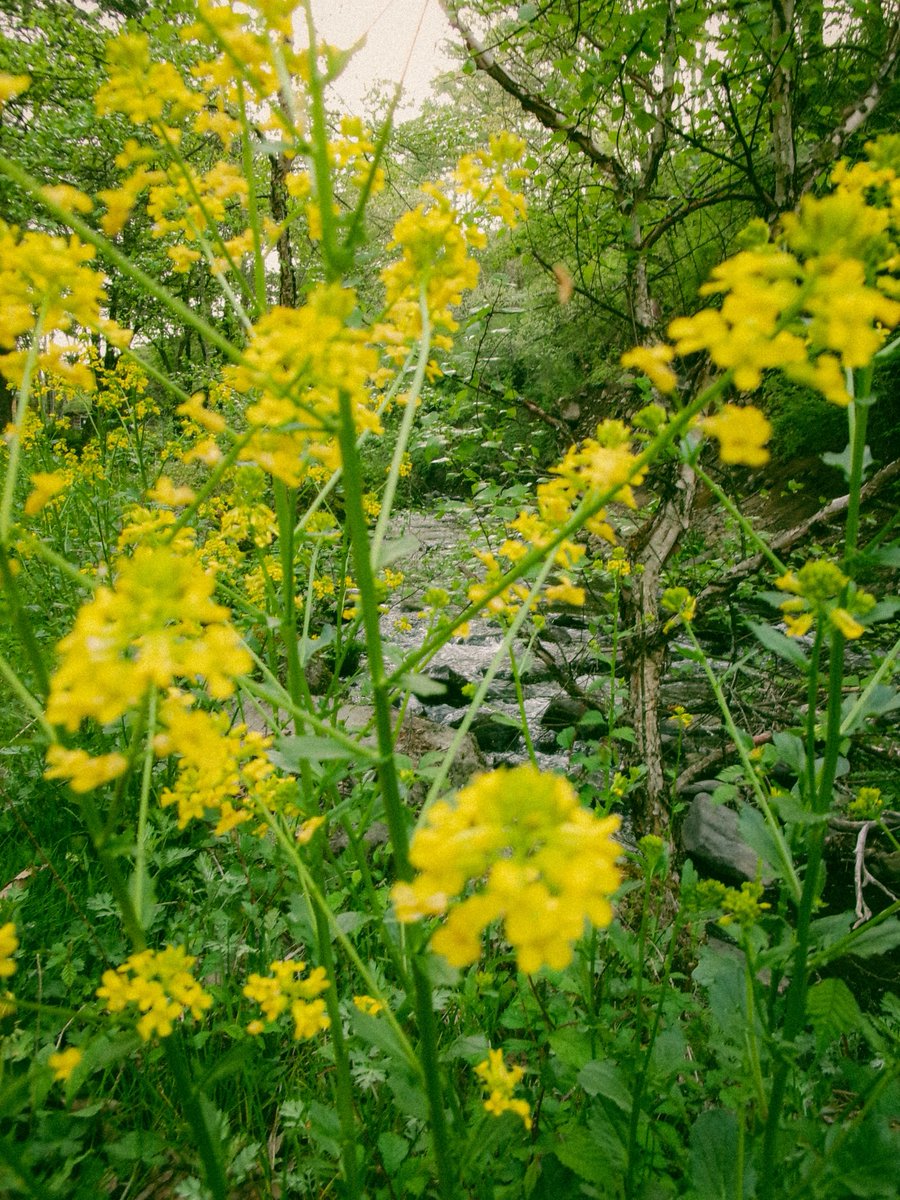 tetuyaokada532's tweet image. 