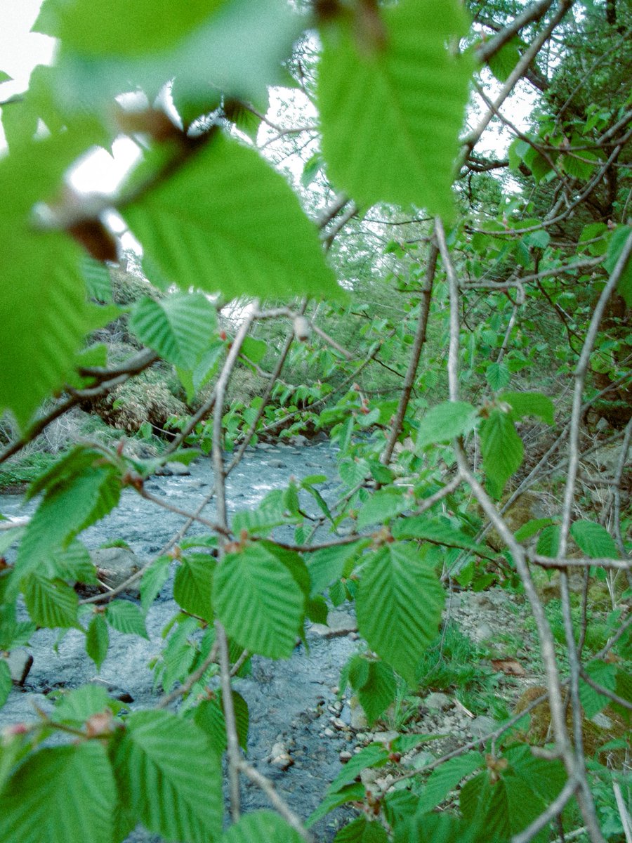 tetuyaokada532's tweet image. 