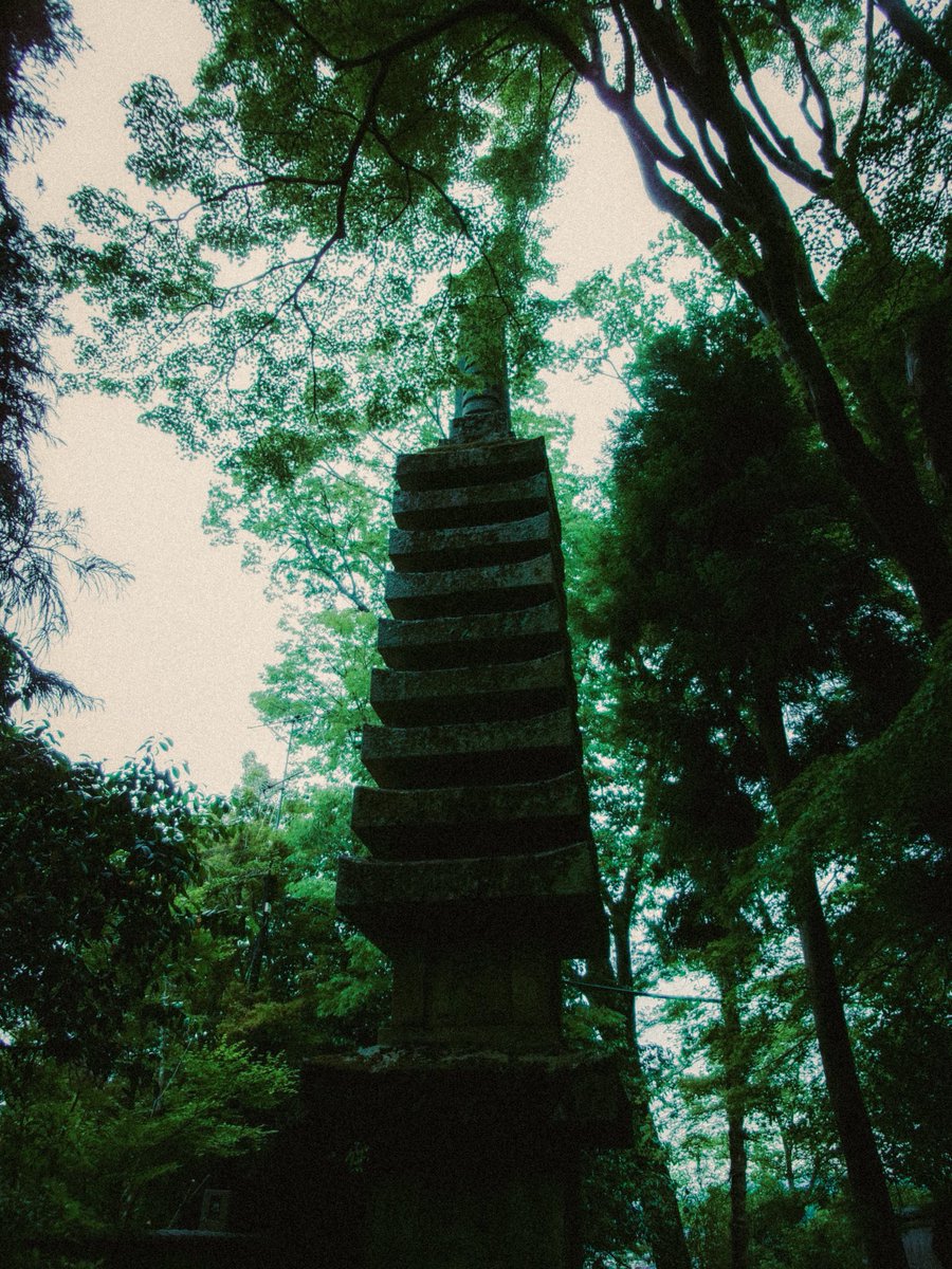 tetuyaokada532's tweet image. 