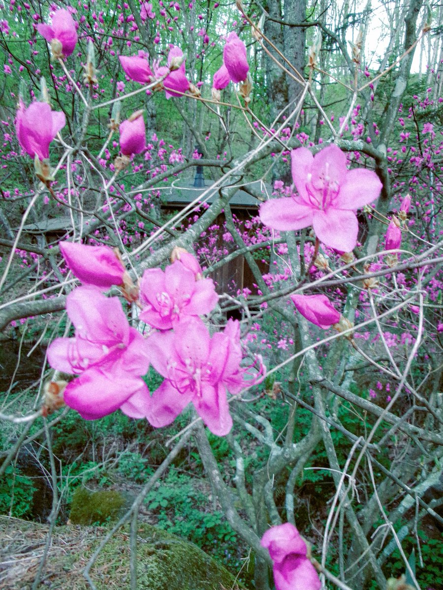 tetuyaokada532's tweet image. 