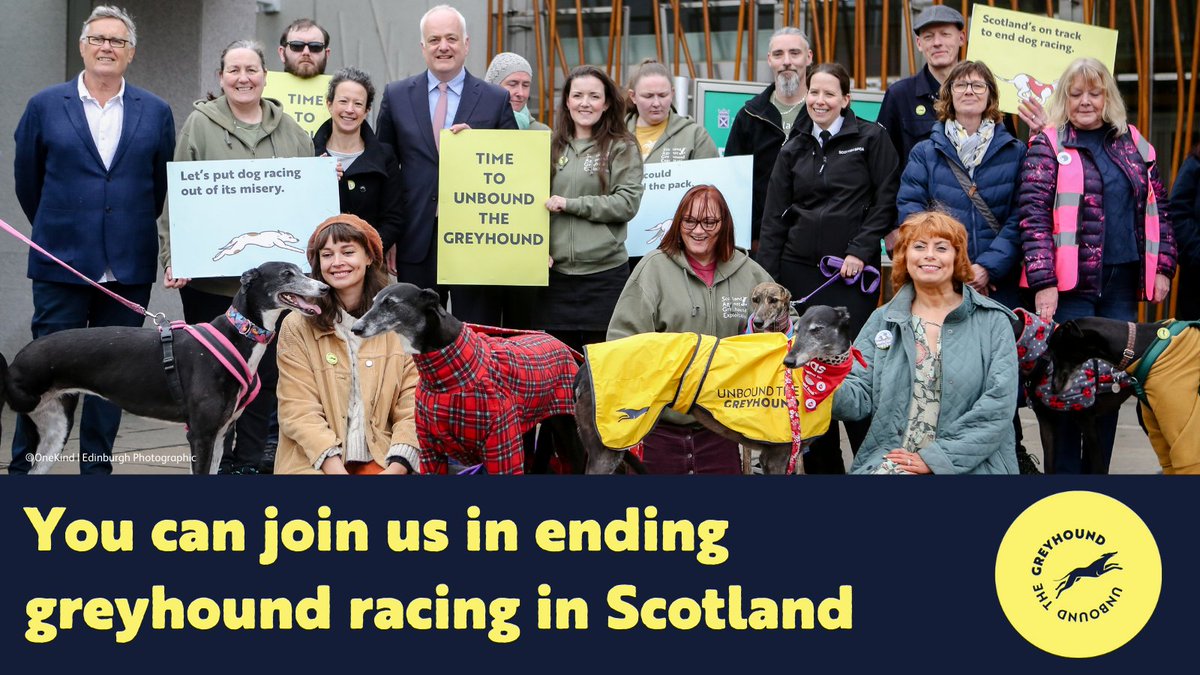 OneKind (@onekindtweet) on Twitter photo ❗️ We need your help to rally support for <a href="/markruskell/">Mark Ruskell</a>'s Greyhound Racing (Offences) (Scotland) Bill👇
🔵 For those in Scotland: bit.ly/UtGScotland
🌍Or, if you live anywhere else, please use our international e-action: bit.ly/UtGInternation…
Please RP
#UnboundTheGreyhound ❗️ We need your help to rally support for <a href="/markruskell/">Mark Ruskell</a>'s Greyhound Racing (Offences) (Scotland) Bill👇
🔵 For those in Scotland: bit.ly/UtGScotland
🌍Or, if you live anywhere else, please use our international e-action: bit.ly/UtGInternation…
Please RP
#UnboundTheGreyhound