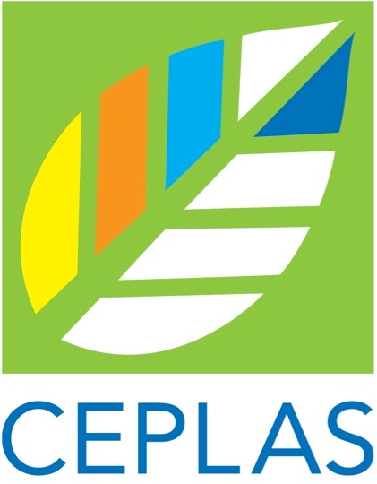 Leibniz IPK (@leibnizipk) on Twitter photo Das <a href="/LeibnizIPK/">Leibniz IPK</a> ist neuer Partner im Exzellenzcluster CEPLAS für Pflanzenwissenschaften! Wir freuen uns nach der Bekanntgabe durch die DFG auf die noch engere Kooperation mit unseren Partnern in Köln, Düsseldorf und Jülich!
➡️Alle Infos: tinyurl.com/2s2p65ya Das <a href="/LeibnizIPK/">Leibniz IPK</a> ist neuer Partner im Exzellenzcluster CEPLAS für Pflanzenwissenschaften! Wir freuen uns nach der Bekanntgabe durch die DFG auf die noch engere Kooperation mit unseren Partnern in Köln, Düsseldorf und Jülich!
➡️Alle Infos: tinyurl.com/2s2p65ya