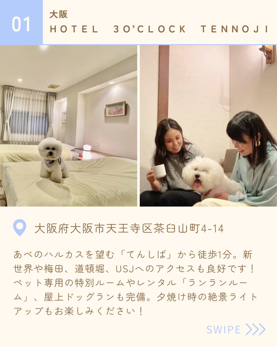 PetPilala's tweet photo. 🐾関西方面への旅行を計画中の方へ🐾
愛犬と泊まれるおすすめの宿を5つ厳選してご紹介します！

自然いっぱいの宿や、ドッグラン付きホテルなど、
「うちの子も一緒に泊まれる！」安心の施設ばかり✨

旅の参考に、ぜひチェックしてみてください！ https://t.co/fobGr1JsJA
