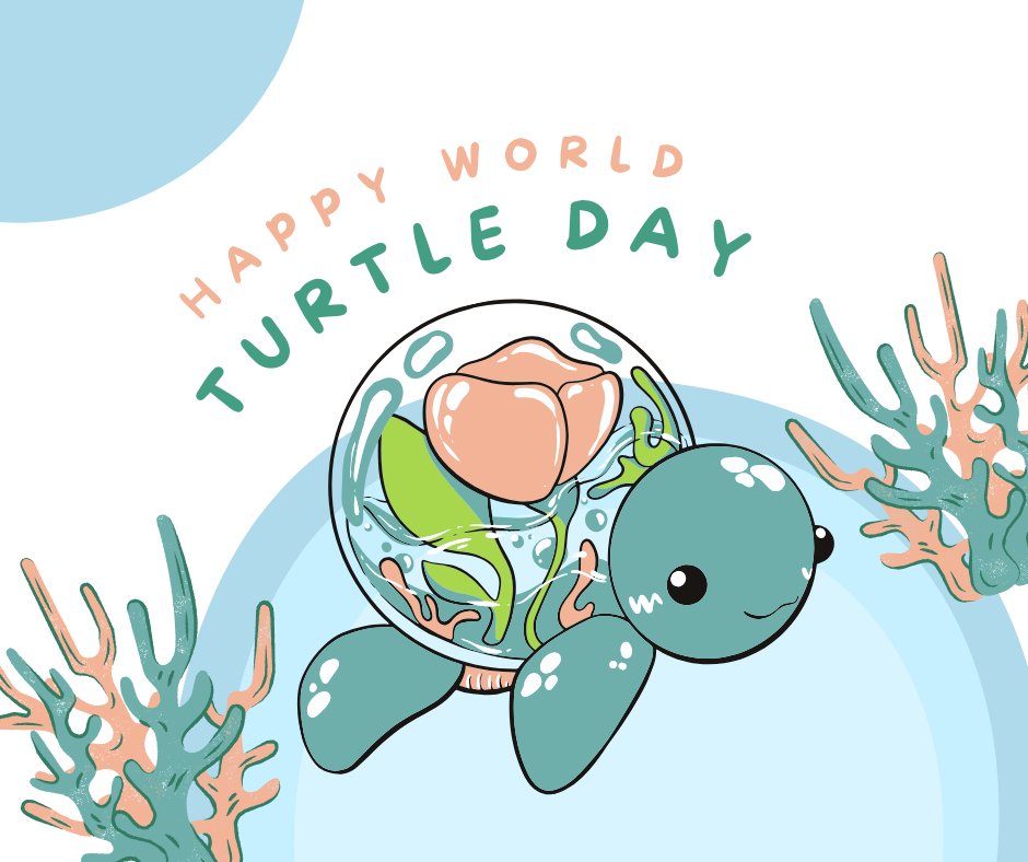 It's world turtle day!🐢 🐢 

At Metro Rod we want to ensure that all living creatures remain safe and happy! 

To find out more about our services, visit the link below: 
metrorod.co.uk/local/lancashi…