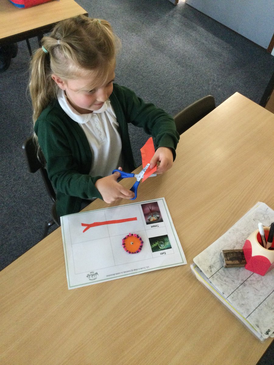 In their design and technology lessons in year 1, the children have been building on their cutting skills that they learnt in reception to cut out shapes from different materials for their snake puppets.