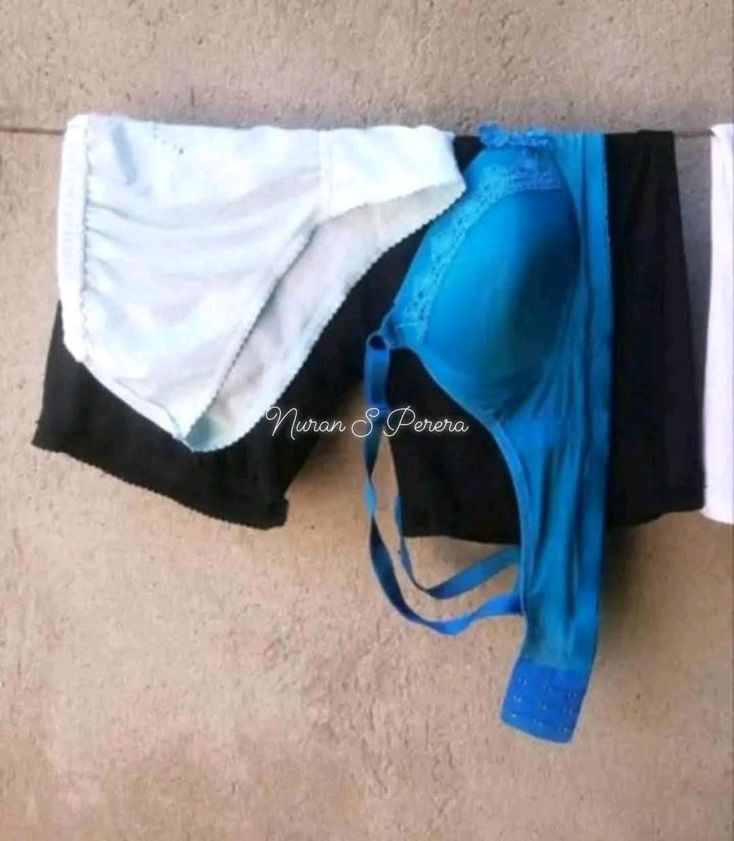 palm beach (@arorasalini) on Twitter photo 