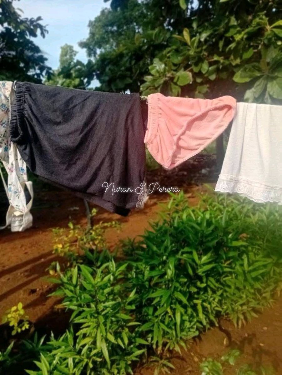 palm beach (@arorasalini) on Twitter photo 