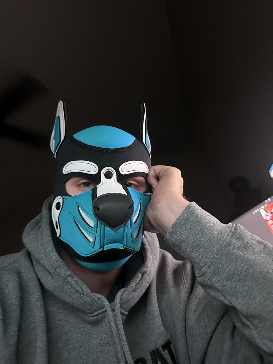 New dog look, so happy with it :3

#pupplay #furry #mrsleather