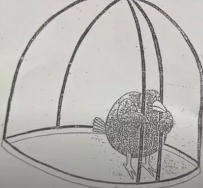 “I’m at odds with my chief of staff!” 😩