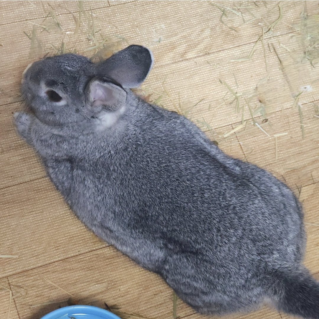 점장님 죄송해요 바닥에 떨궜어여..