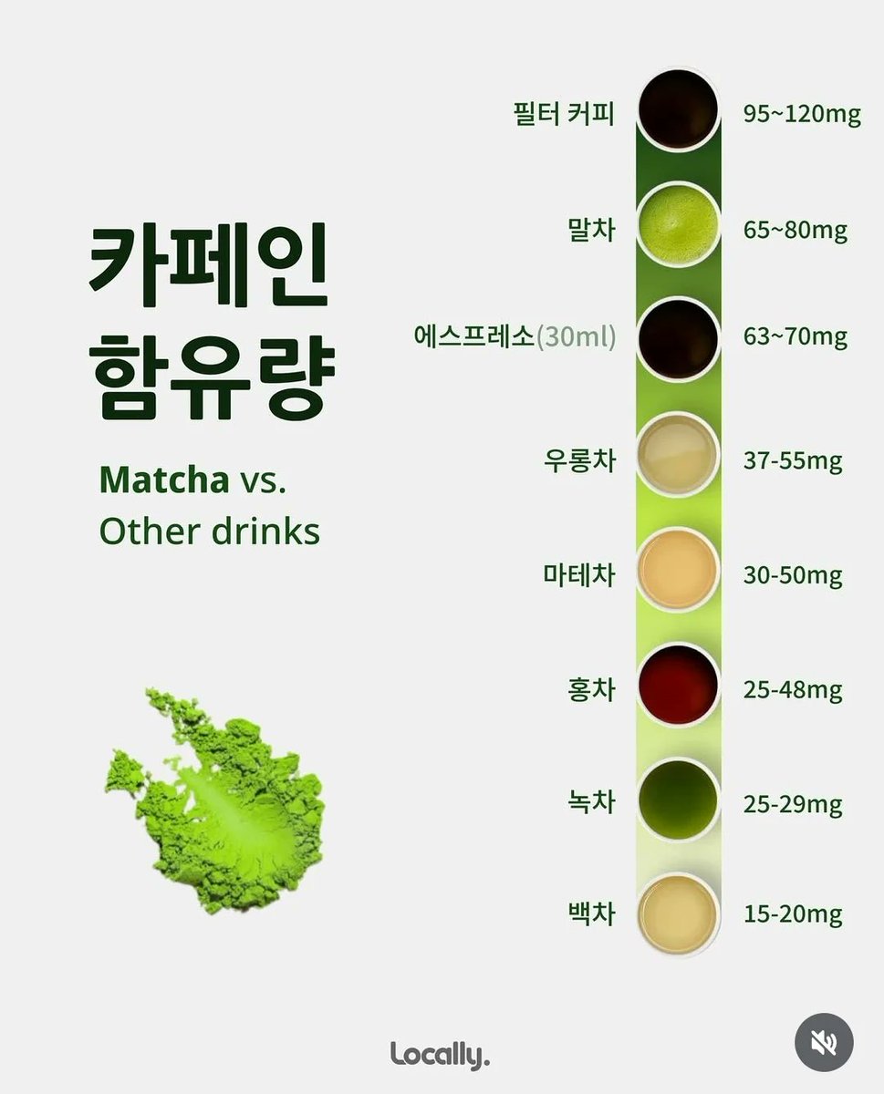 말차 vs 녹차 차이점
