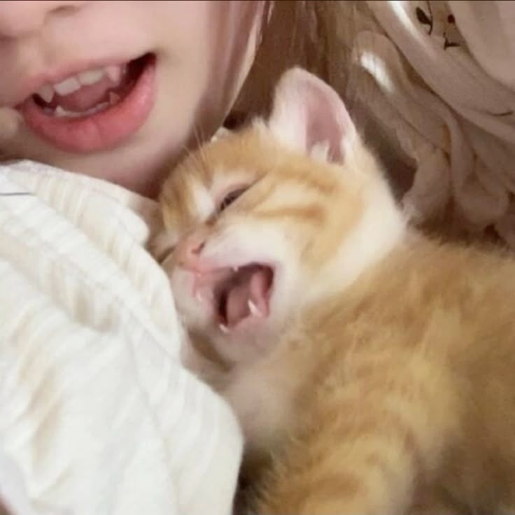 Smol fang