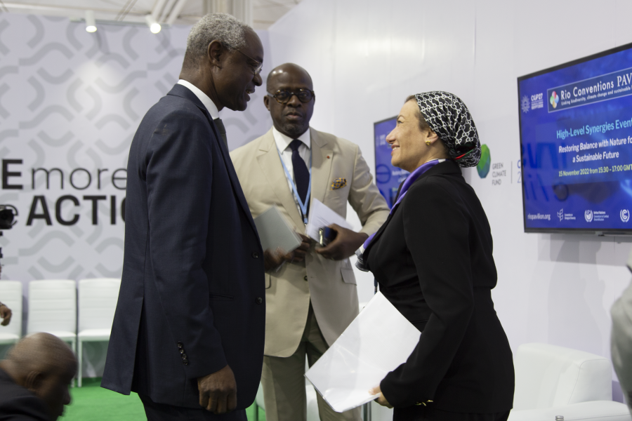 Ibrahim Thiaw (@ibrahimthiaw) on Twitter photo It is with great pleasure that I announce the appointment of Dr. Yasmine Fouad from Egypt as the next Executive Secretary of <a href="/UNCCD/">UN Land and Drought</a>.
A champion for our environment, she'll lead our crucial mission with great vision. I'm coordinating with Yasmine on her start date, which is in It is with great pleasure that I announce the appointment of Dr. Yasmine Fouad from Egypt as the next Executive Secretary of <a href="/UNCCD/">UN Land and Drought</a>.
A champion for our environment, she'll lead our crucial mission with great vision. I'm coordinating with Yasmine on her start date, which is in