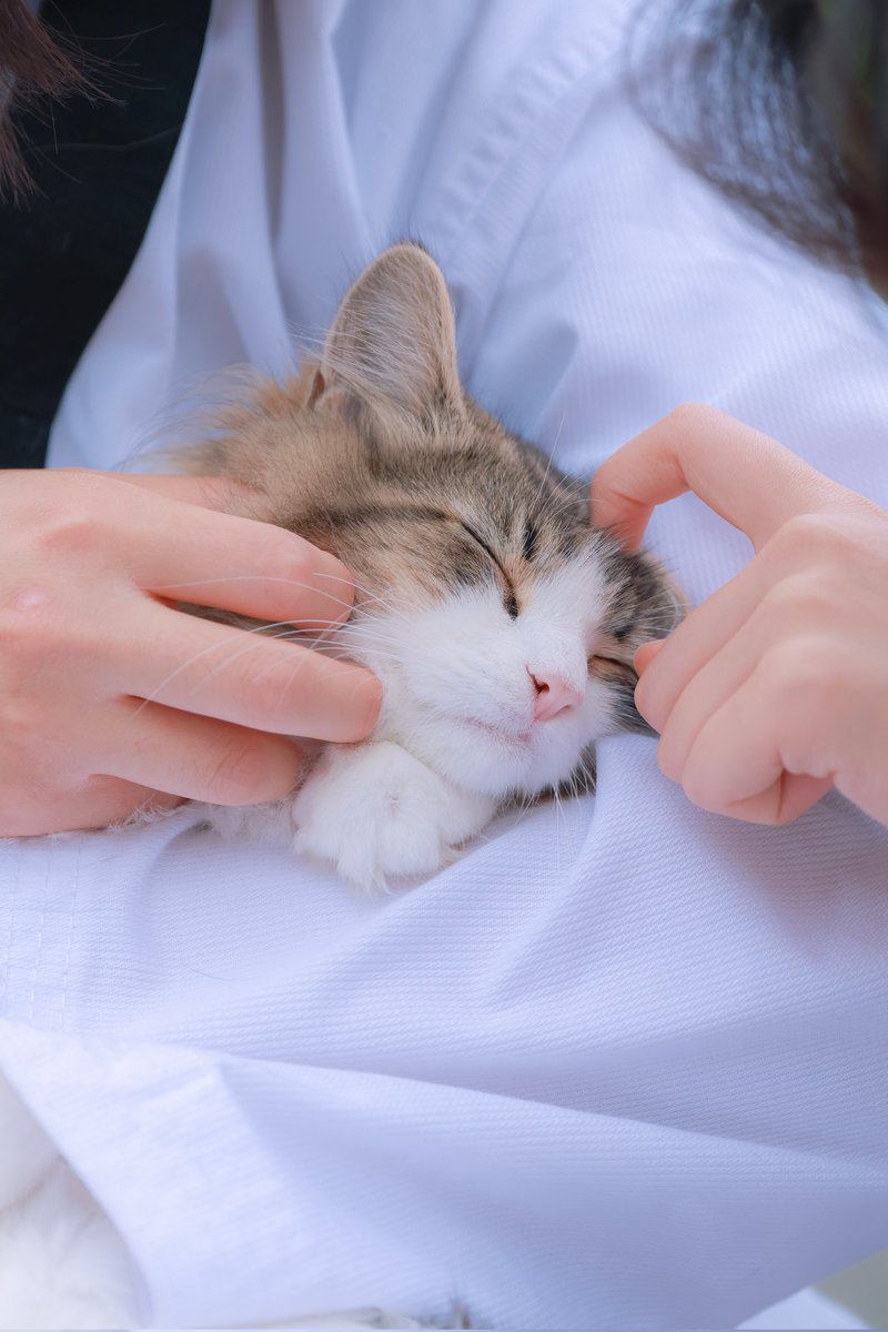mechanic204's tweet image. 2025.05.23

#canon #캐논 #미러리스 #스냅사진 #고양이사진