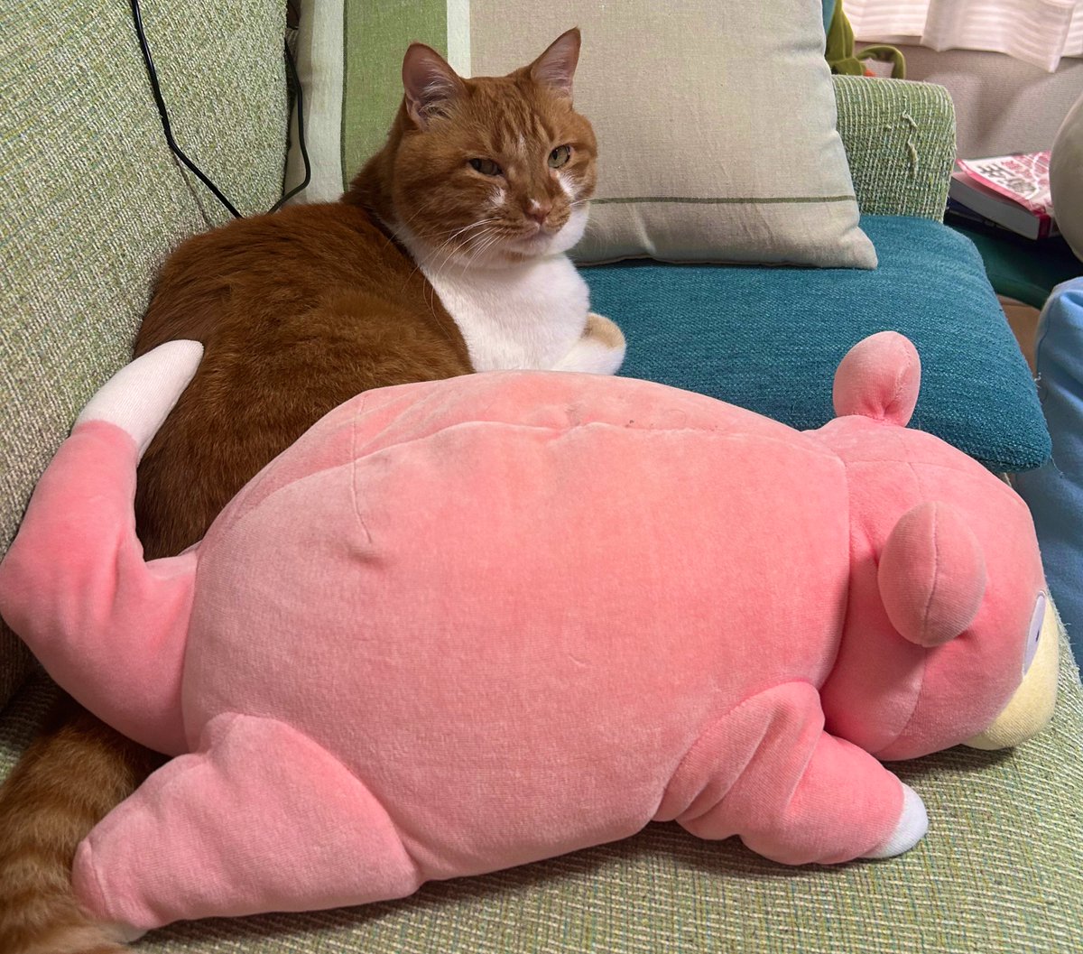 ヤドンの隣に座り込んでる😳