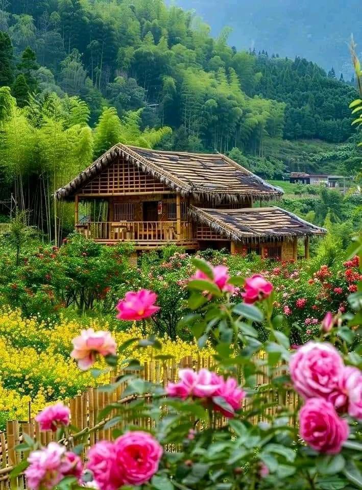 Good Afternoon X!!💝

Stay Connected 😃