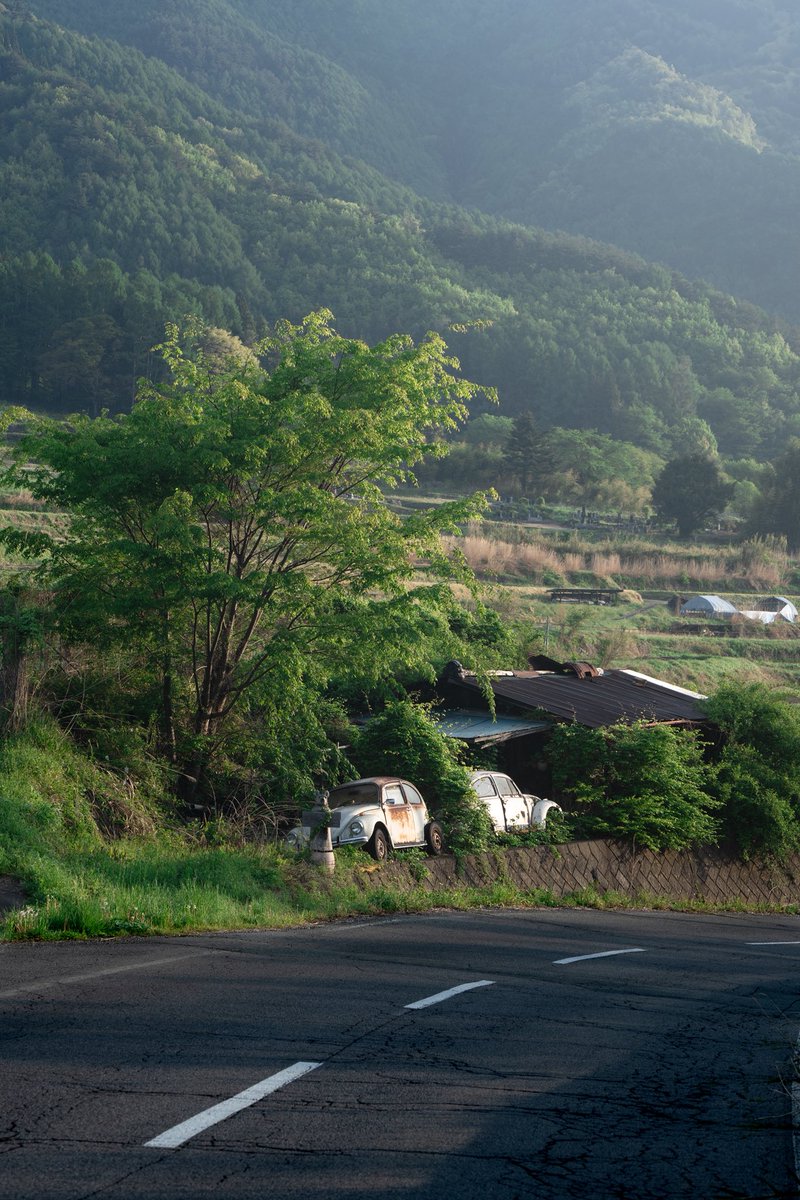 緑に包まれた記憶
