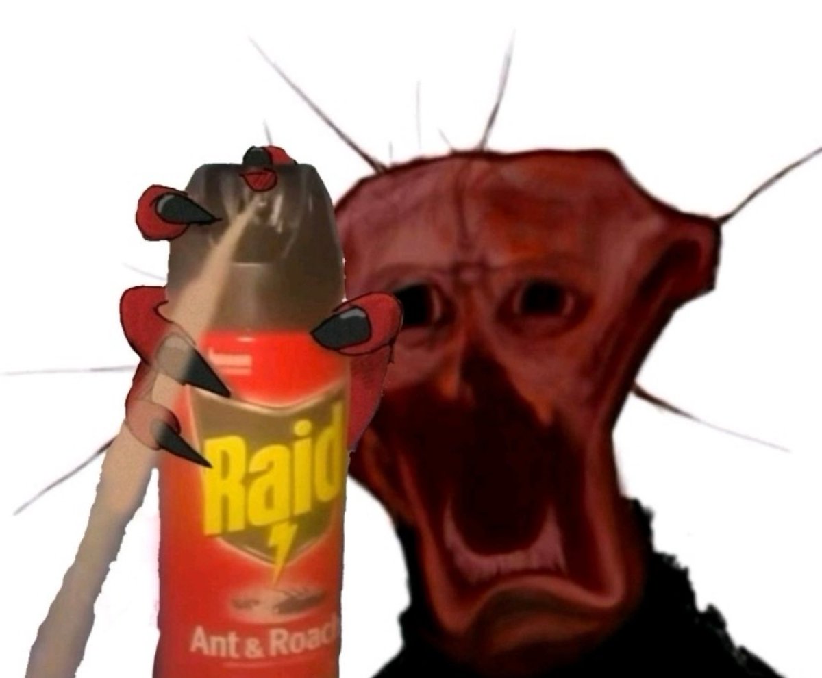 “I really like NTR”