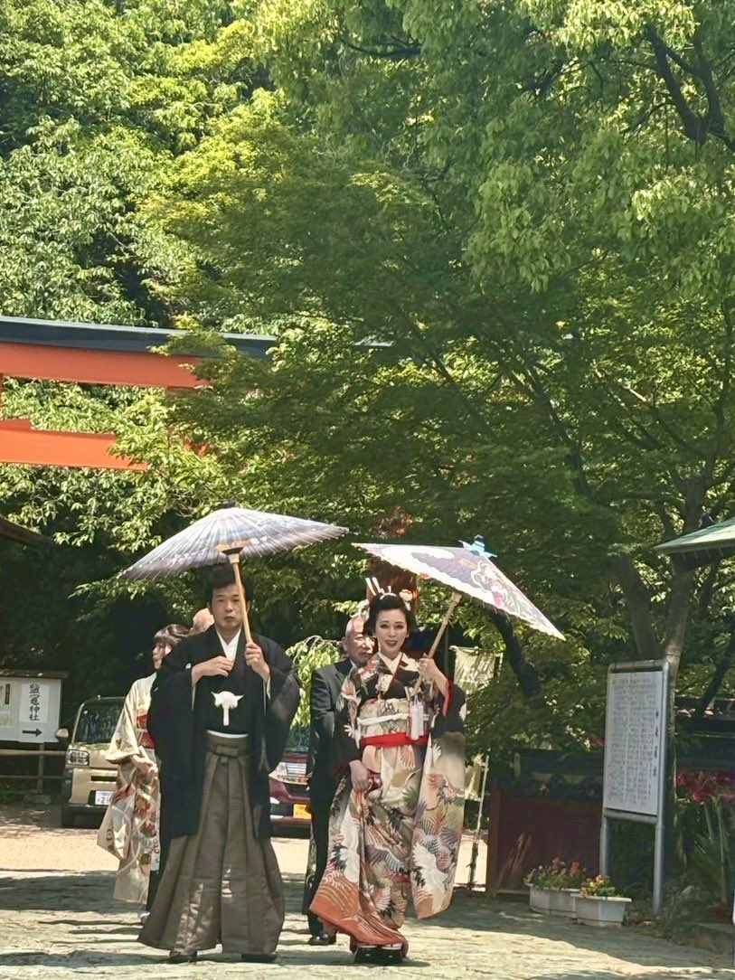 椎名林檎グッズ ラマ傘 番傘 椎名林檎グッズ ラマ傘 番傘 椎名林檎 林檎博'18不惑の余裕 物販で