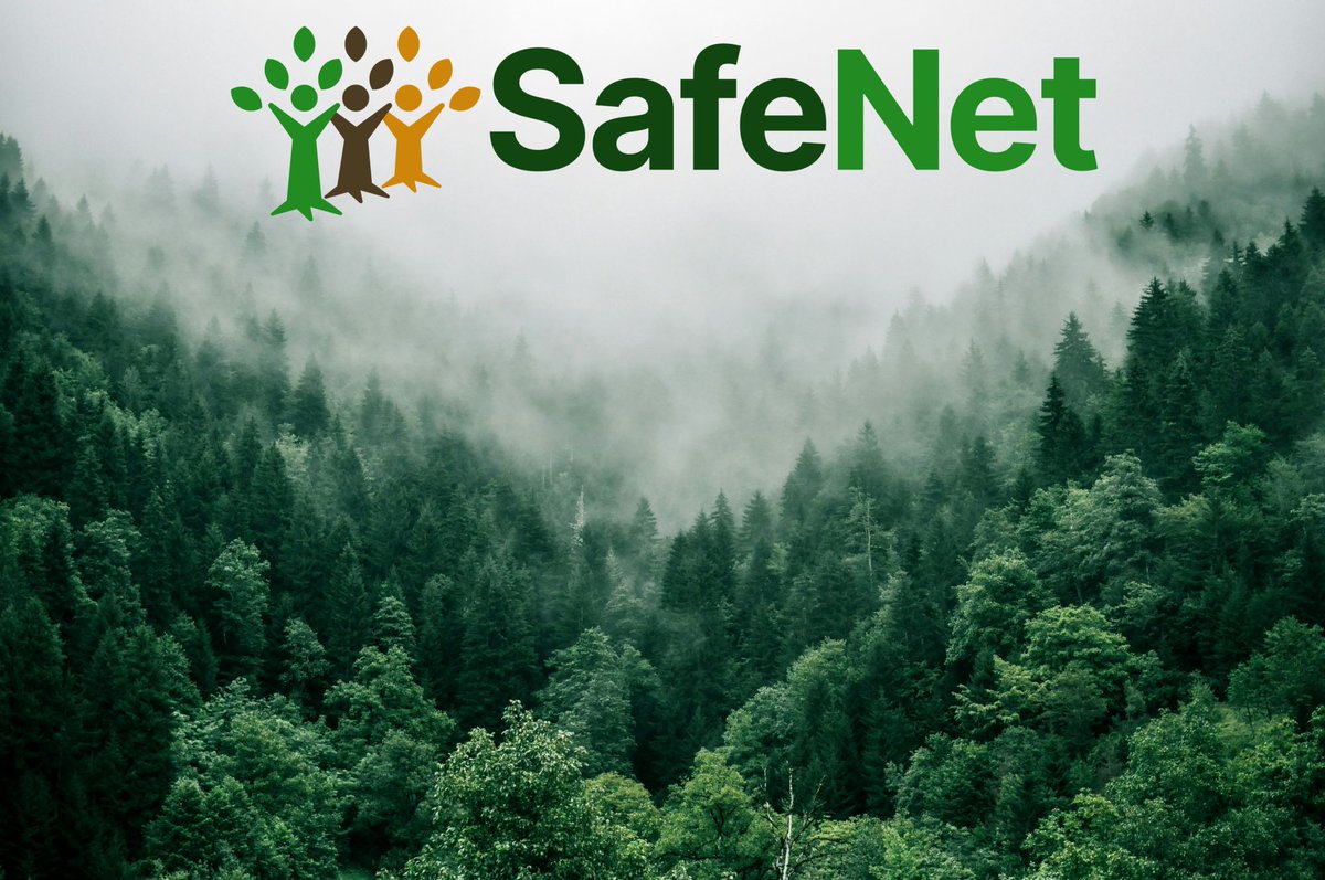 As part of #BiodiversityWeek, our #ERINNInnovation Project Spotlight is the SafeNet Project. Launched in February 2025, SafeNet is tackling biodiversity loss and climate change in European forests. Learn more about SafeNet in our latest blog: erinn.eu/safenet-to-pro…