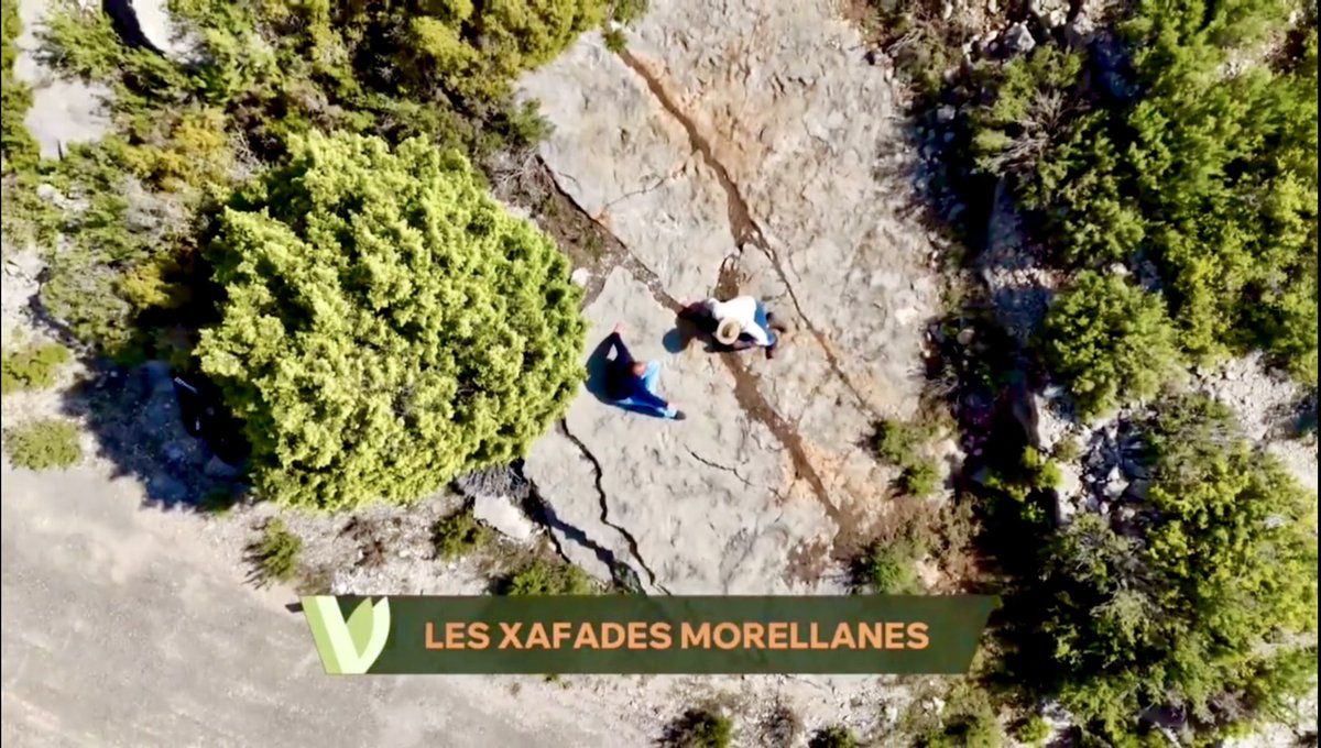 Aquesta setmana un càmera de Comunicacions dels Ports ha treballat en un reportatge sobre les petjades de #dinosaure de Vallivana, a #Morella
🎥
#ElsPorts #Castelló #ComunitatValenciana
▸ apuntmedia.es/programes/la-v…