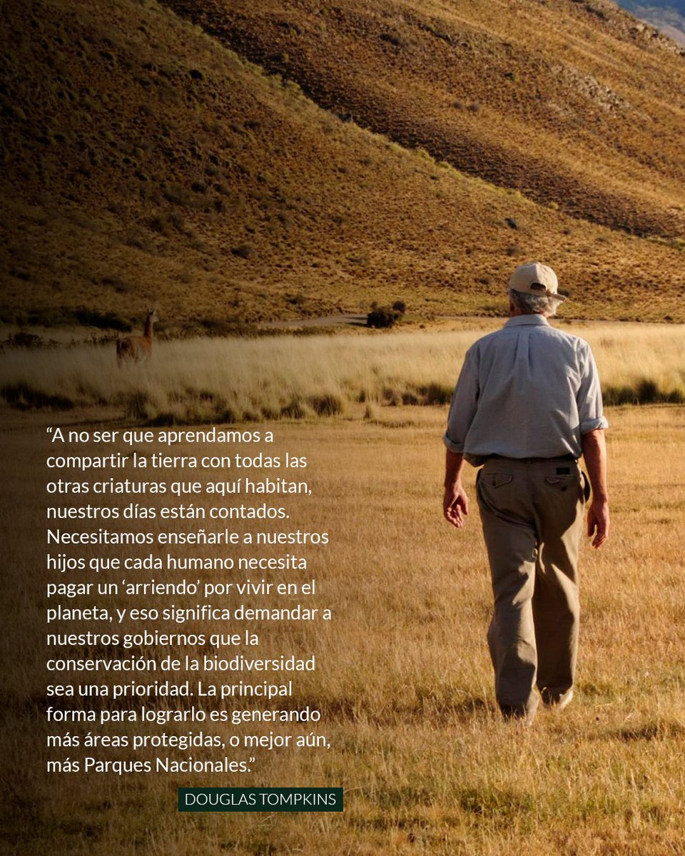 RewildingChile's tweet photo. Vivir en equilibrio con la naturaleza 🌿

En la semana donde celebramos la biodiversidad en nuestro planeta, les compartimos una cita de Douglas Tompkins, el que nos recuerda la importancia de hacernos responsables por el futuro del planeta. 🌎

Y tú, ¿estás haciendo tu parte? 🏔️ https://t.co/xcJwTLVdTf