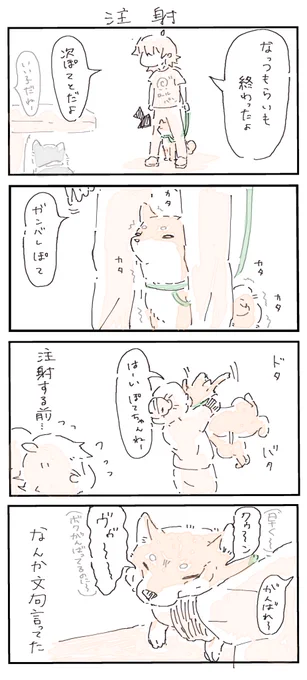 #4コマ漫画 #柴犬
 注射 