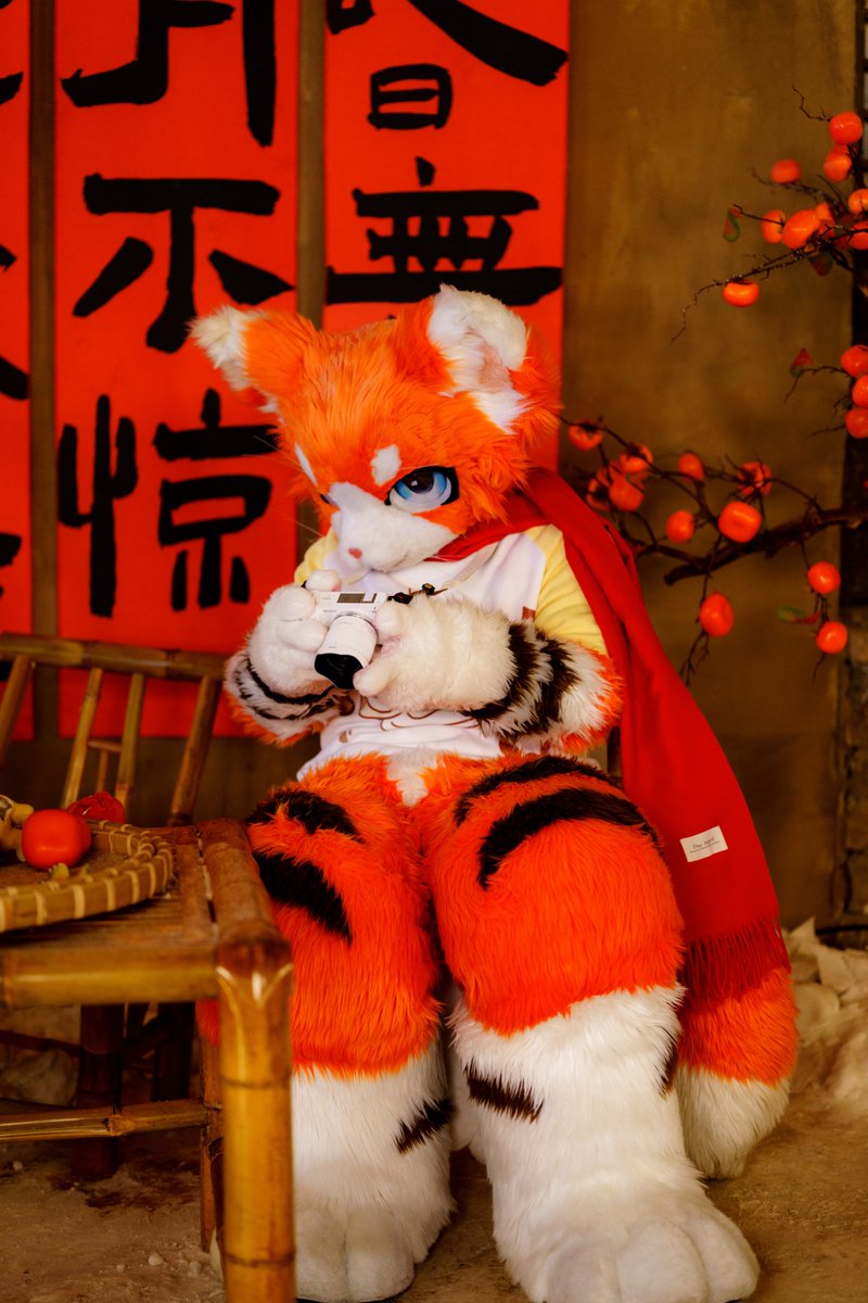 #FursuitFriday 
让我看看刚才拍得咋样…

<a href="/XiaoYiao_ry/">逍遥ry</a>