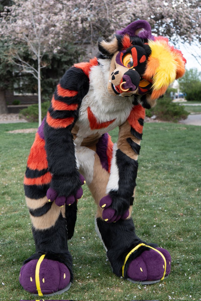 huh? did u say something?
#FursuitFriday

🧵: <a href="/sheenitude/">Sheenitude🔜AC</a>
📸: @minibray_