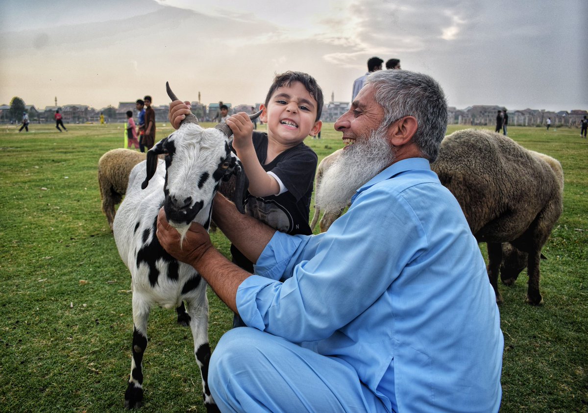 UBAID_MUKHTAR_'s tweet photo. Eidgah Ready, Market Slow : A Different Eid ul Adha in Kashmir. https://t.co/wIIk2EqxoC