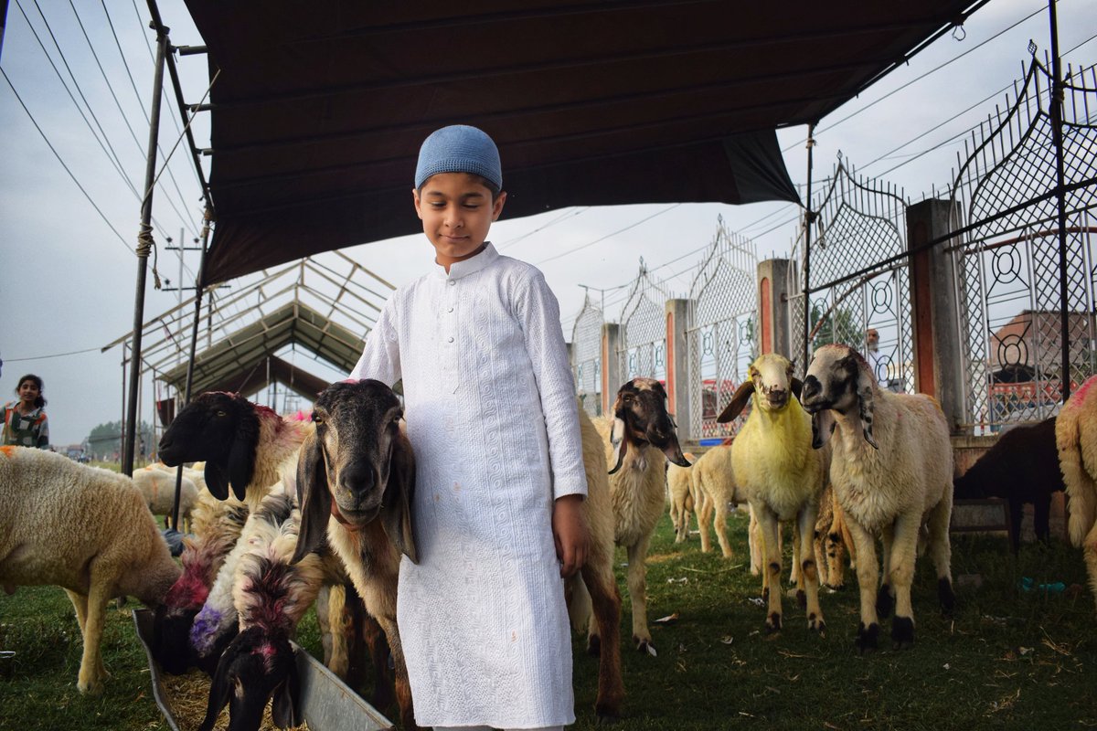UBAID_MUKHTAR_'s tweet photo. Eidgah Ready, Market Slow : A Different Eid ul Adha in Kashmir. https://t.co/wIIk2EqxoC