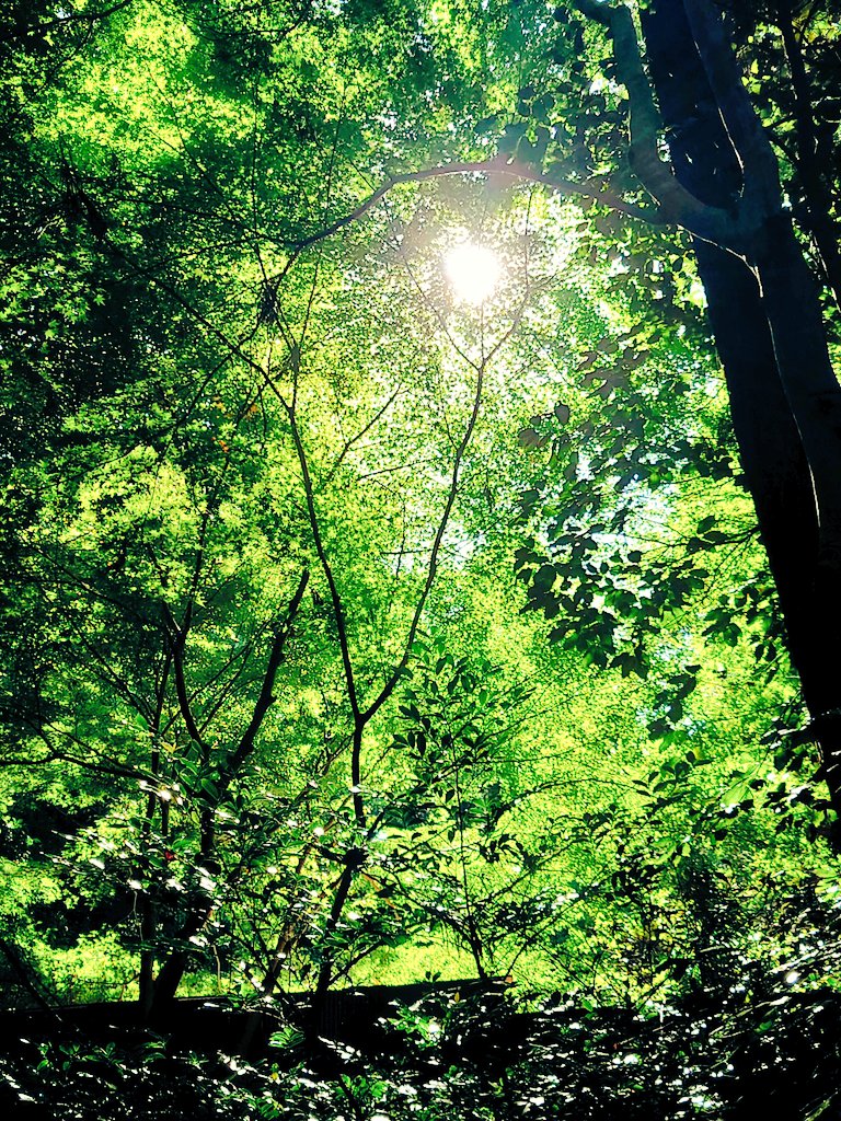 不安を

吹き飛ばす様な

光が

見えますように

おつかれさま

南佳孝 / 
I don't want to talk about it
youtu.be/QzO05GCbNlA?si…