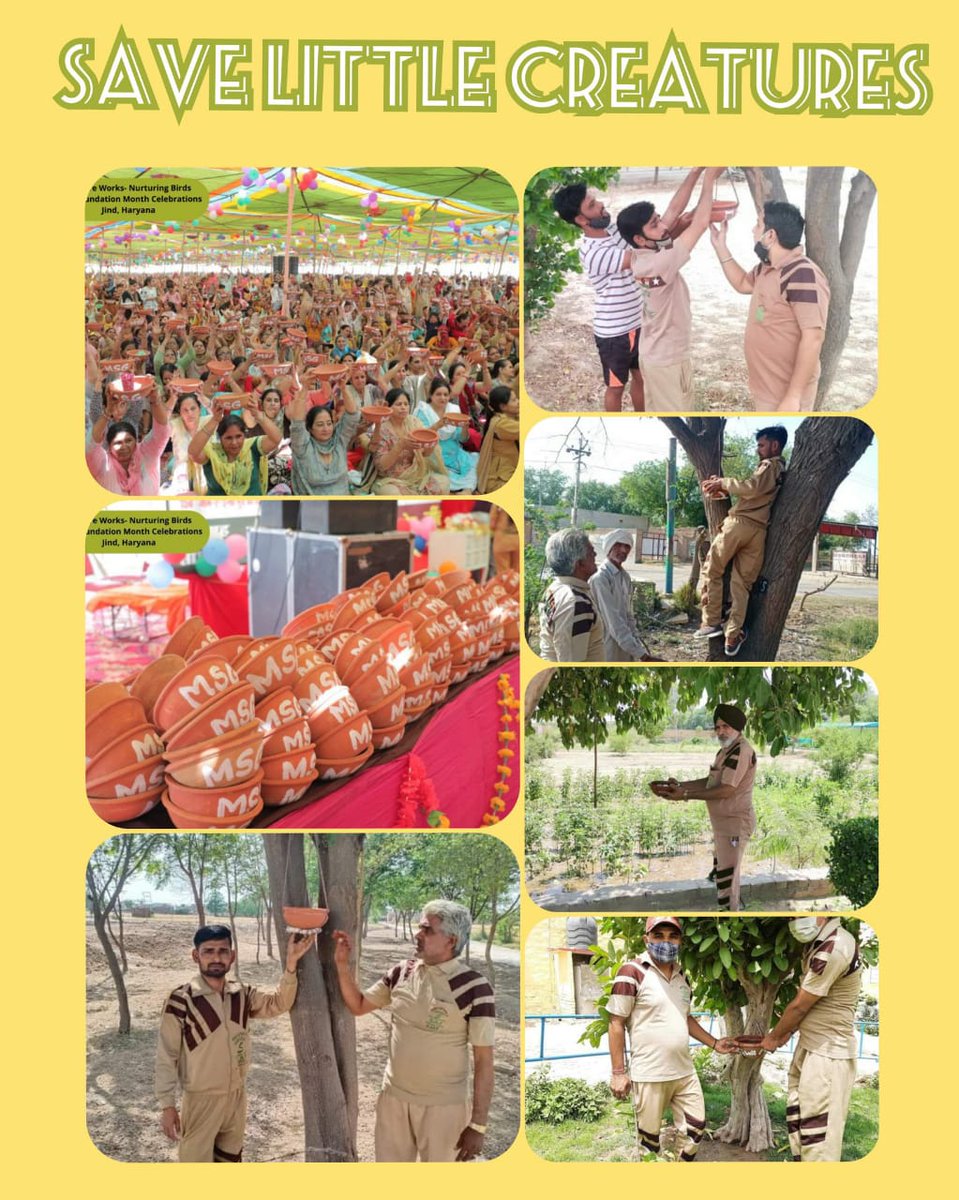 heenaarora244's tweet photo. #Birdnurturing #FeedEveryCreature
#feedingthehelpless #birdscare #FeedingBirds #helpbirds #SummerRelief #InspiredBySaintMSG #FeedingBirds #SummerRelief #birds
#derasachasauda #RamRahim #GurmeetRamRahim #SaintDrMSGInsan #SaintMSG #BabaRamRahim #SaintDrMSG https://t.co/LIdzbP5pF8