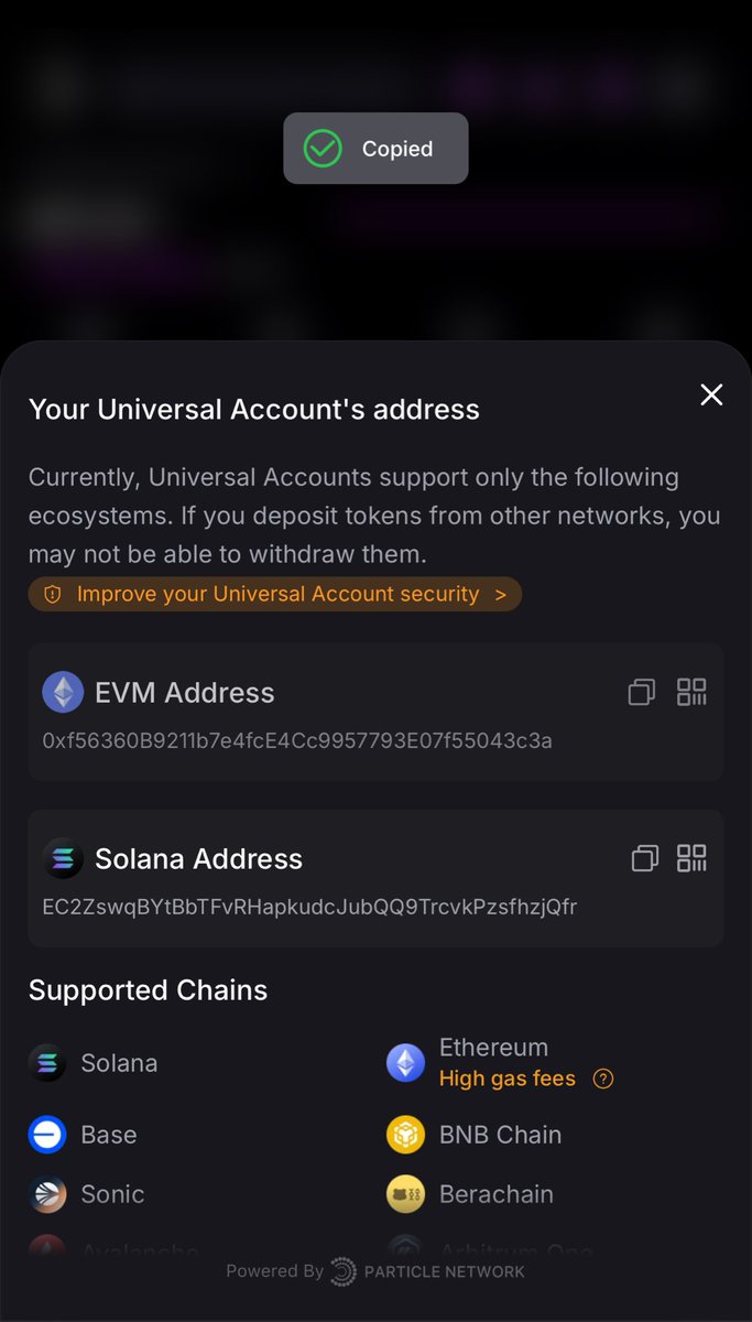 Crypto Bisons | Marketing & News 🍊💊 tweet media