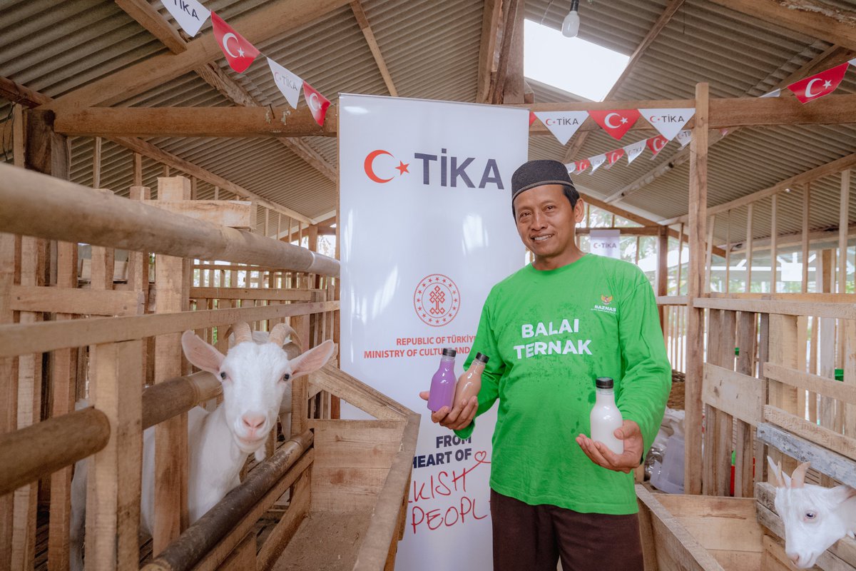 Tika_Turkiye's tweet photo. TİKA’dan #Endonezya’nın hayvancılık programına destek

🐑Ulusal Zekât Kurumu BAZNAS’ın hayvan yetiştirme merkezlerine, dorper cinsi koyunlar, sağmal inekler ve yem işleme makineleri temin edildi.

↪️Projeyle kırsal bölgelerde geçimini hayvancılıkla sağlayan 1289 aileye destek verilirken, #Filistin’e de çok sayıda kurbanlık ulaştırıldı.