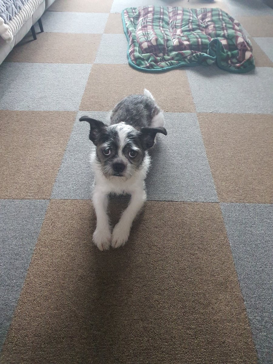 이 아이의 팔 안쪽을 봐주세요